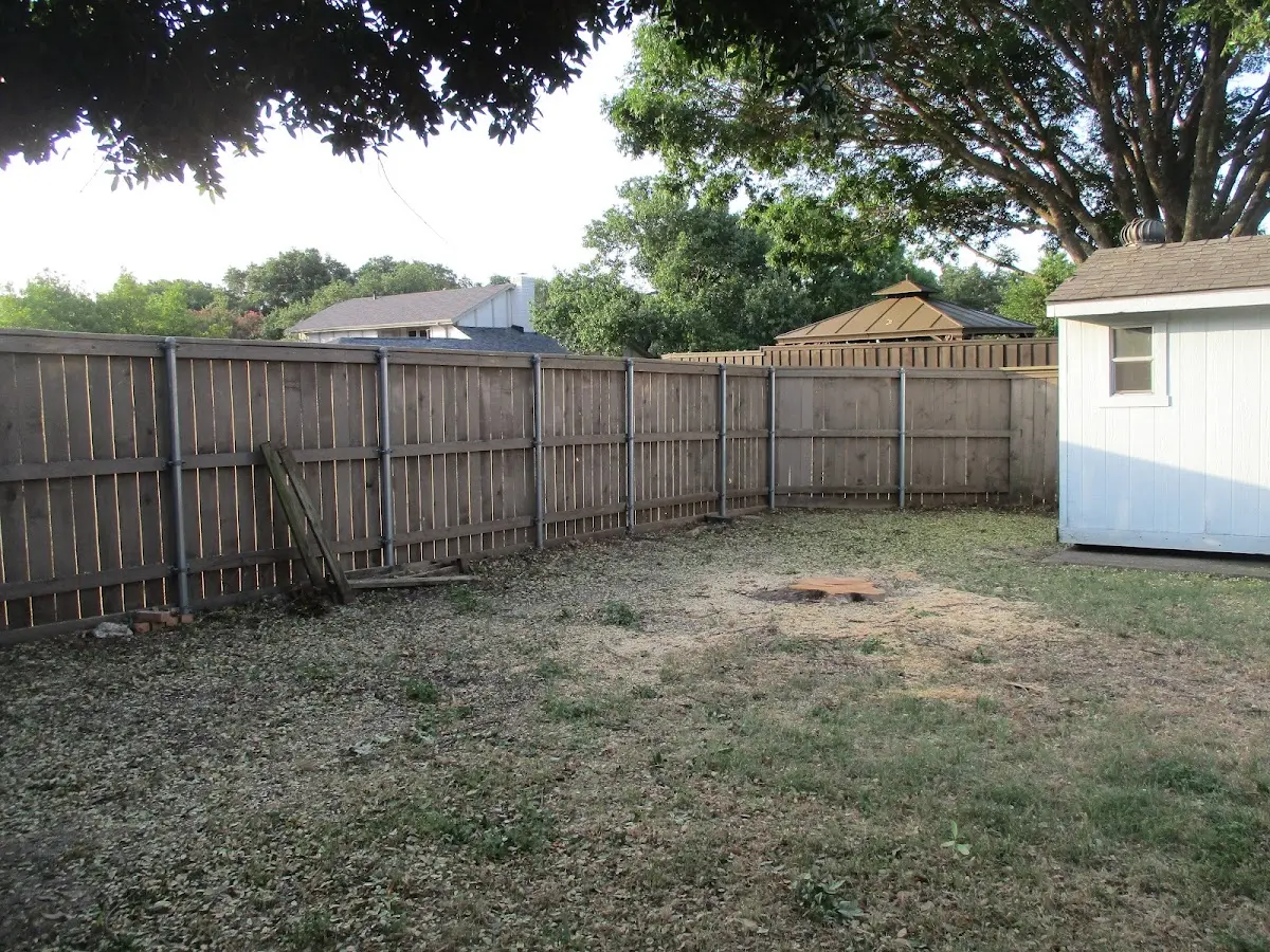 Cleared yard after professional tree removal in Emeryville